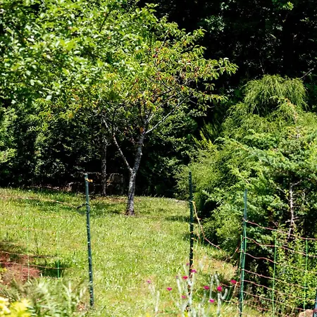 Roter Fuchsbau Am Eichwald Gossersweiler-Stein