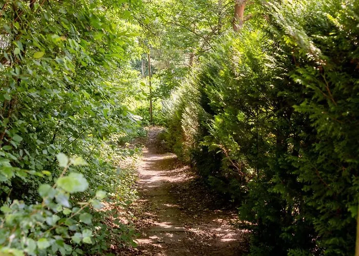 Roter Fuchsbau Am Eichwald * Gossersweiler-Stein