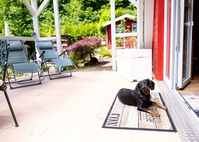 Roter Fuchsbau Am Eichwald