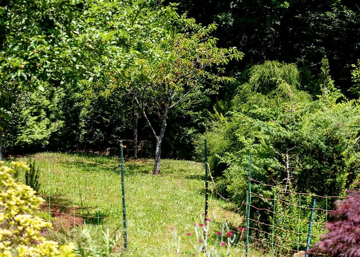 Roter Fuchsbau Am Eichwald Gossersweiler-Stein